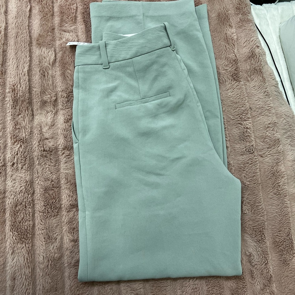 Aritzia effortless pant size 10 dusky green